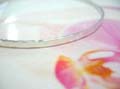 New age balinese jeweler exchange company, Handcrafted bali bangle bracelet from 925. sterling silver with wave like sides 